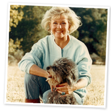 doris foundation animal dog founder corner