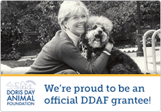 Official DDAF Grantee