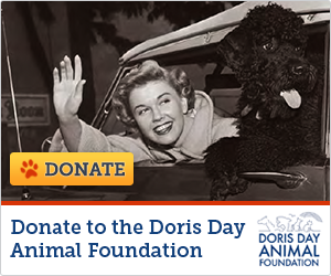 Official DDAF Grantee