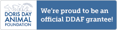 Official DDAF Grantee